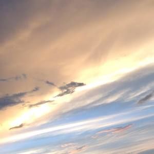 Meet your Posher, Jasper